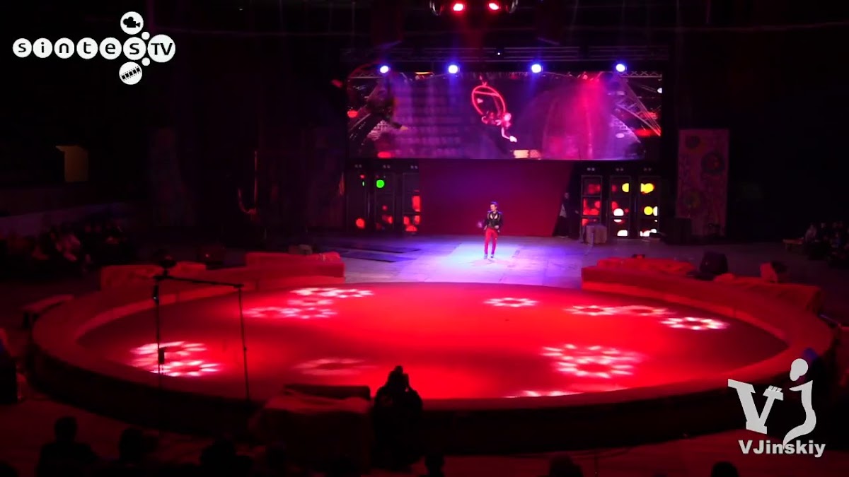 Шоу- дуэт «Circus»