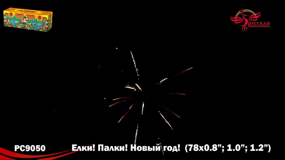 Портфолио: Салют на Новый Год
