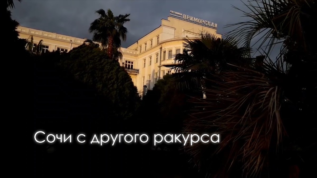 Портфолио: Репортаж