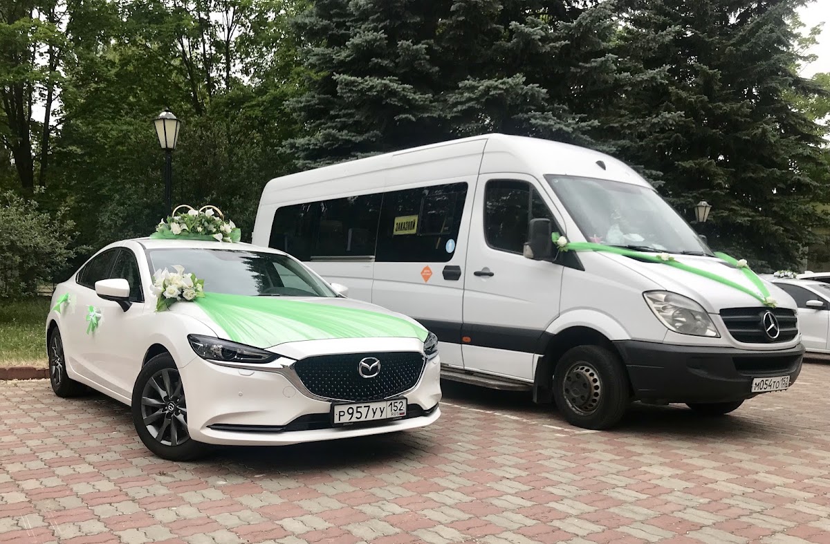 Фотографии