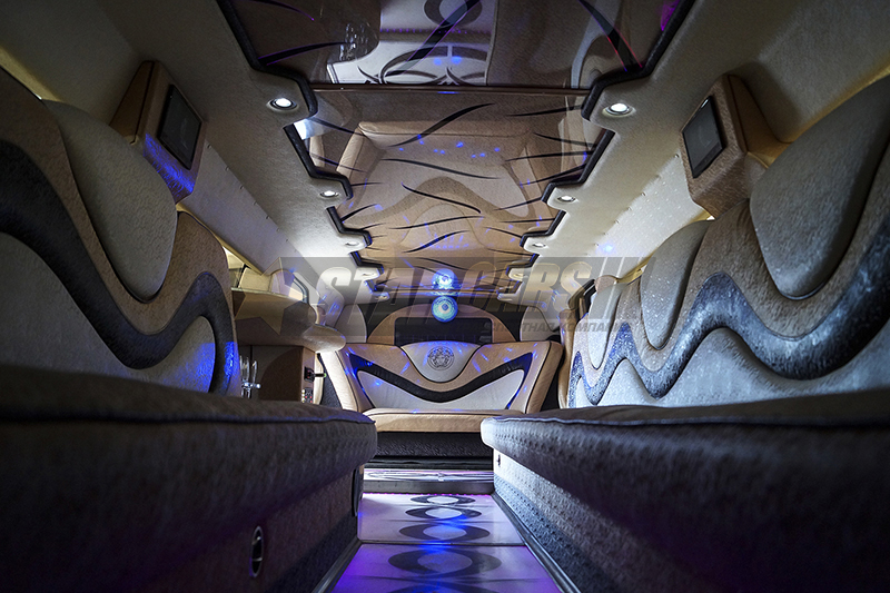 Hummer H2 Versace (20 мест) — кадр 4 из 7