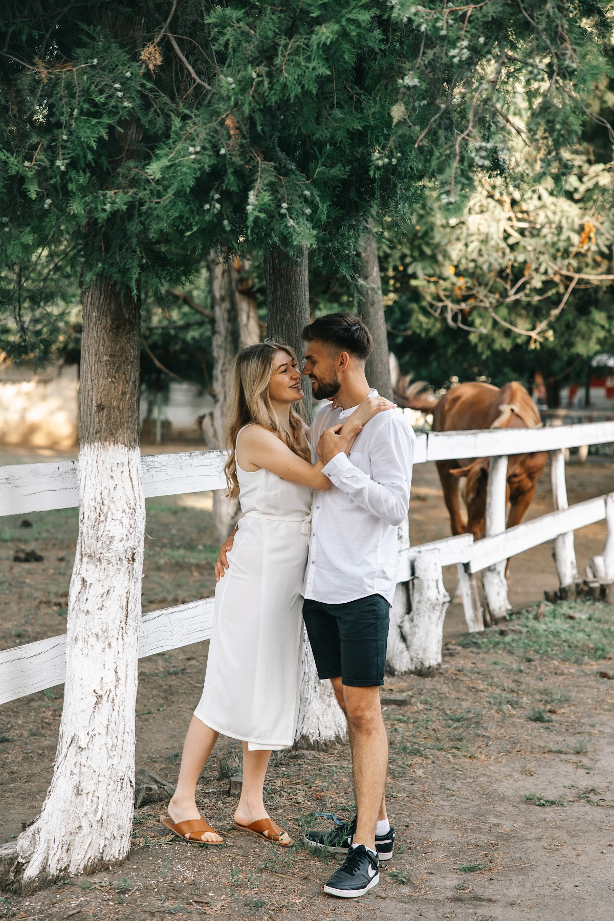 Love story с лошадками