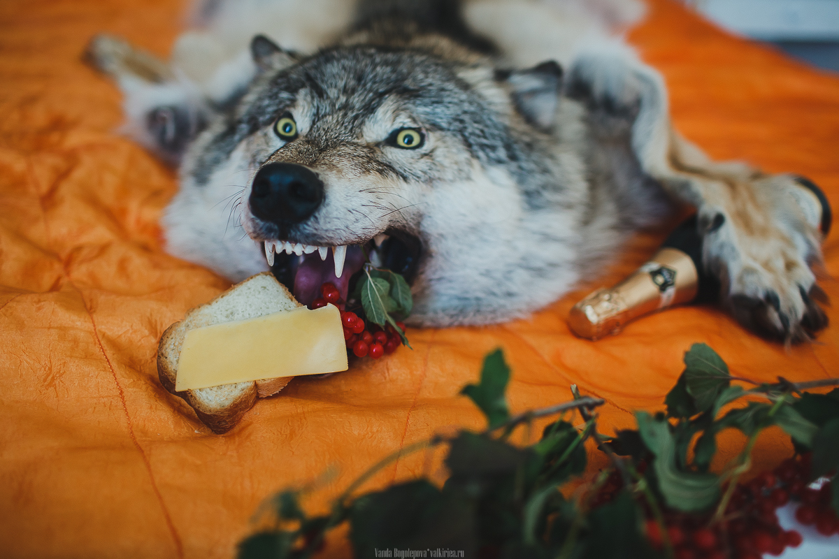 Ира и  Саша