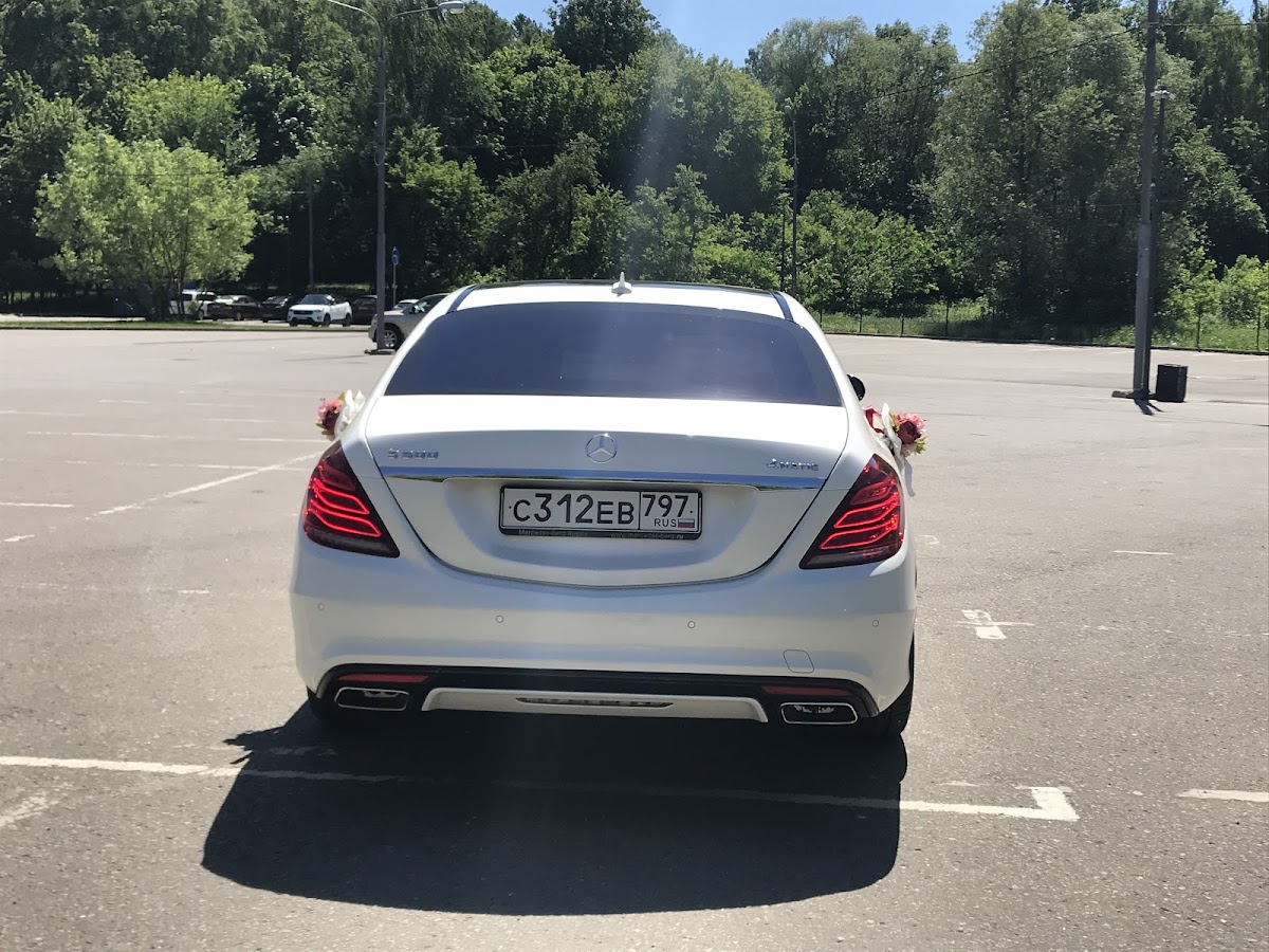 Фотографии