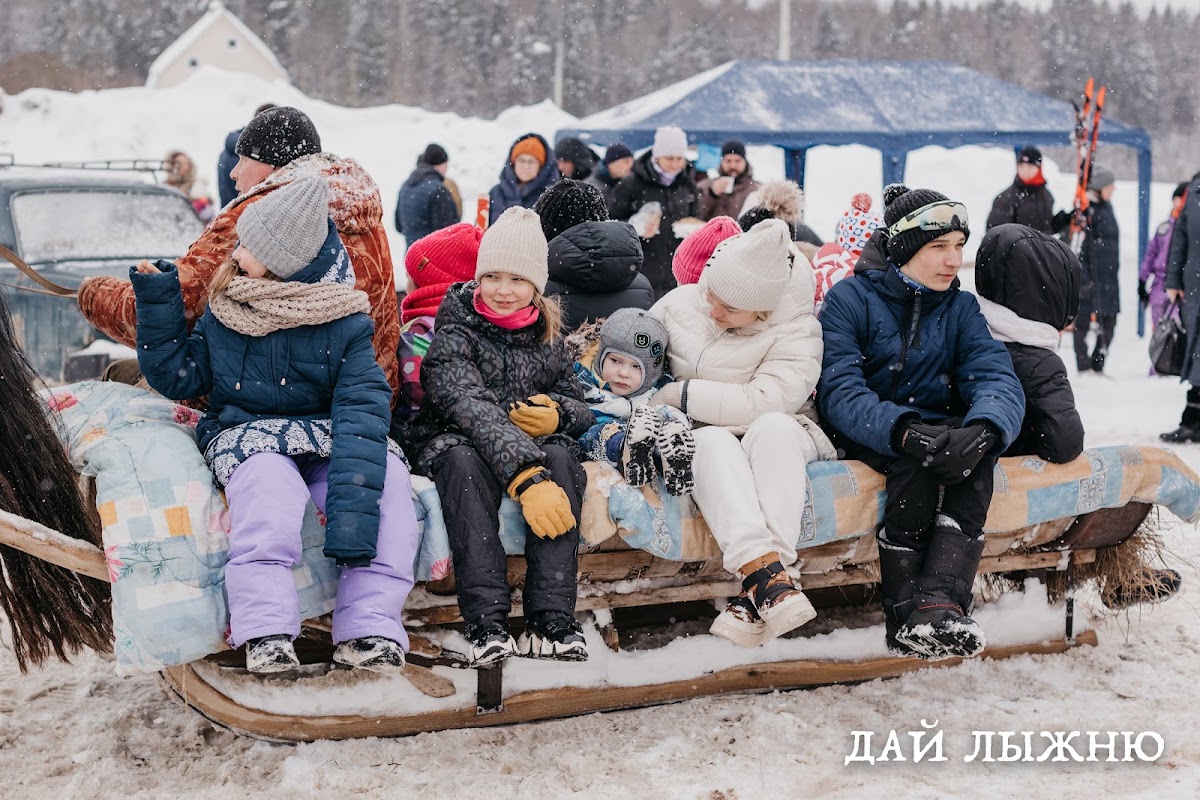 Организация и проведение фестиваля
