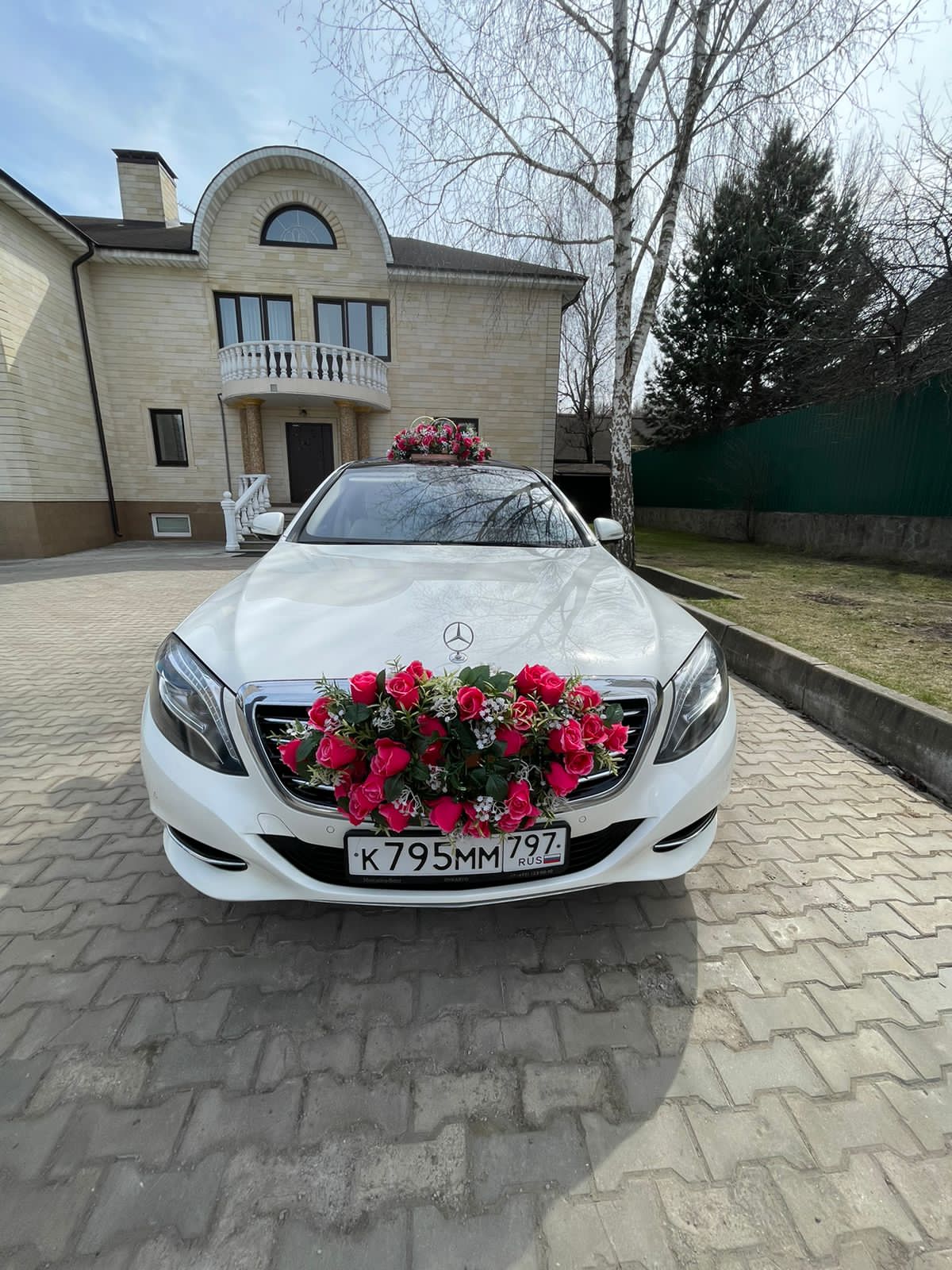 Фотографии