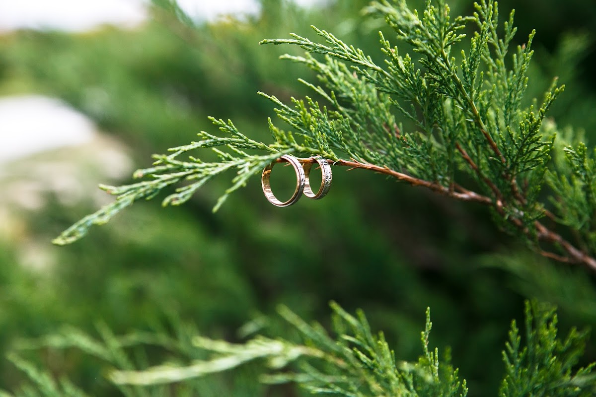 Кадр 33 из 33