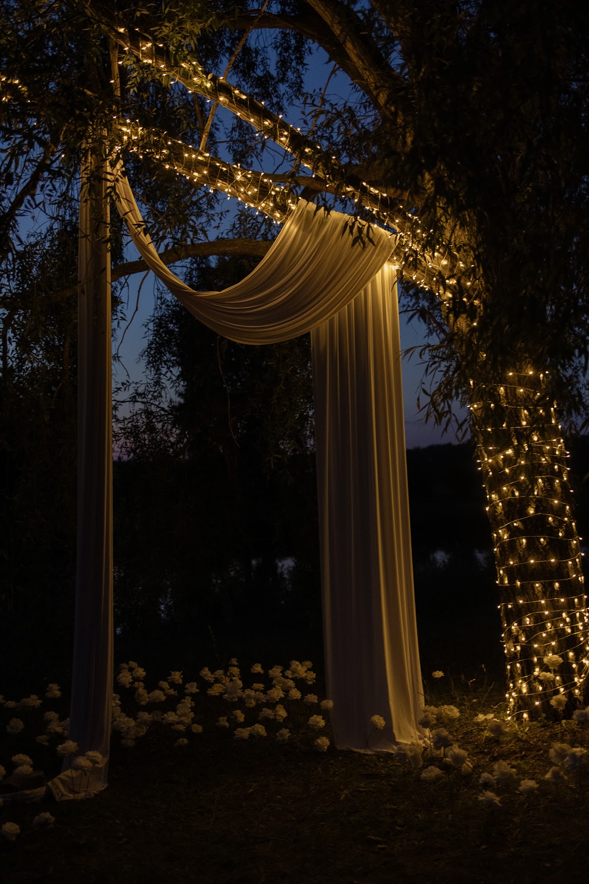Decorrity studio