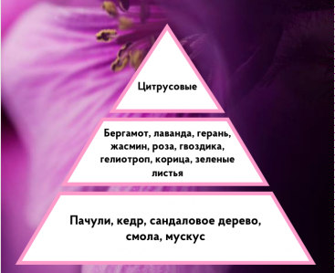 Ароматизация мероприятия