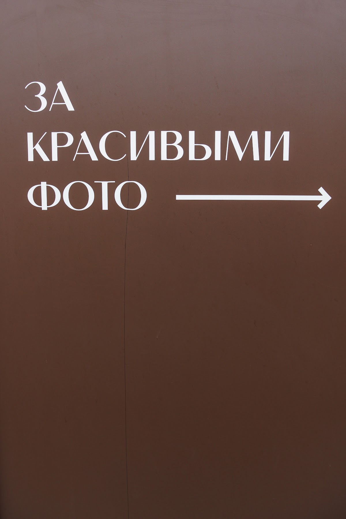 Ксения и Александр