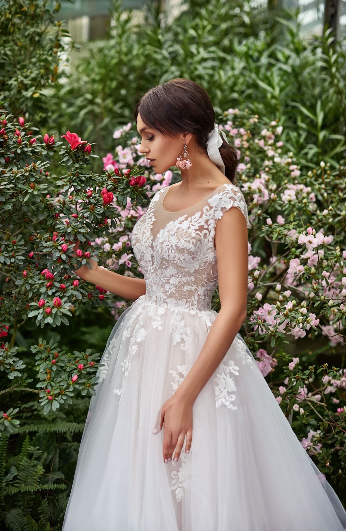 Freesia — кадр 3 из 3