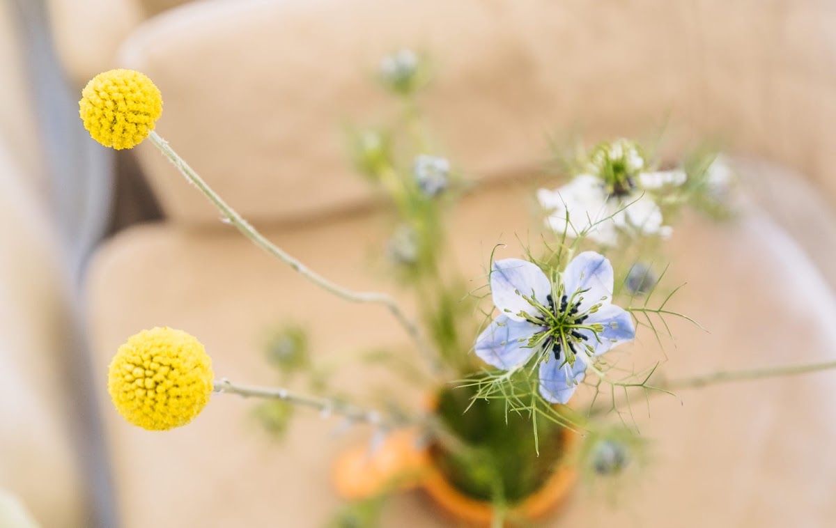 Garden Glass