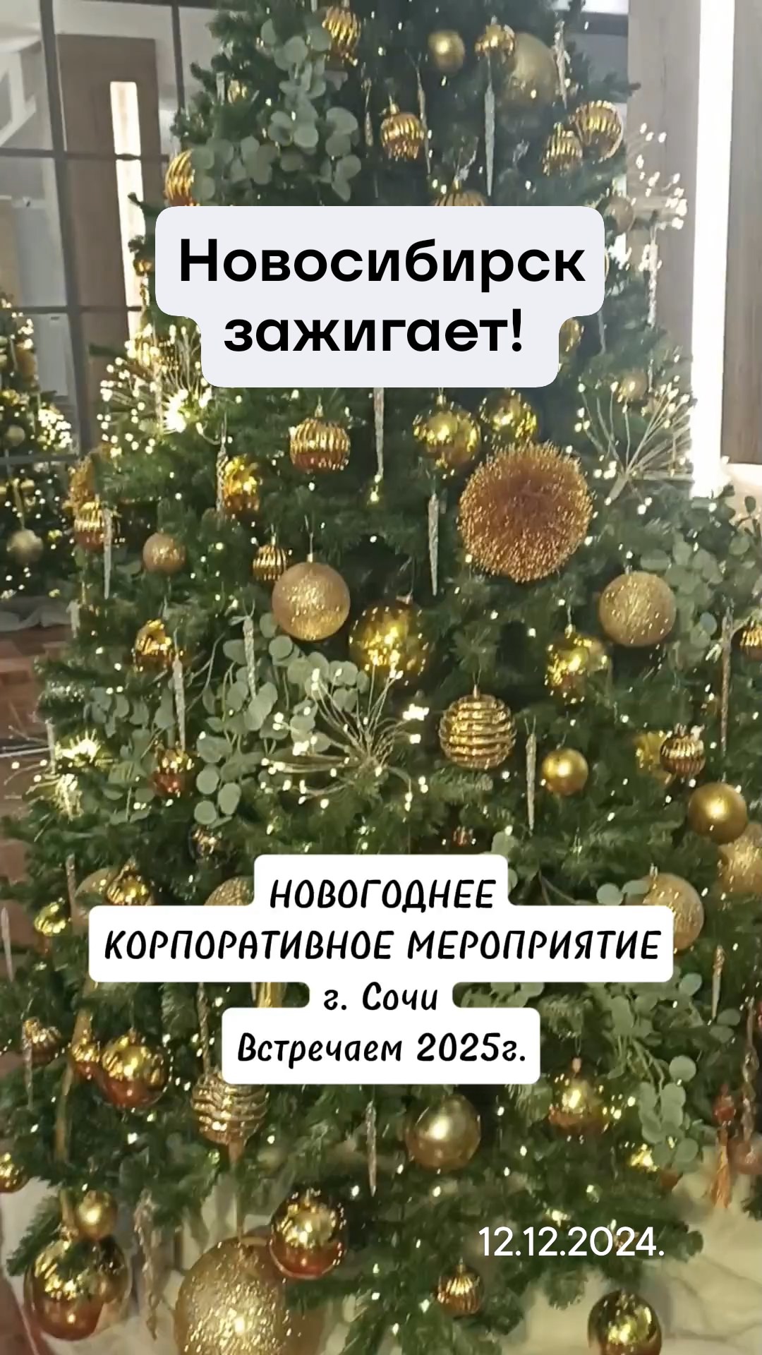 Кадр 41 из 50
