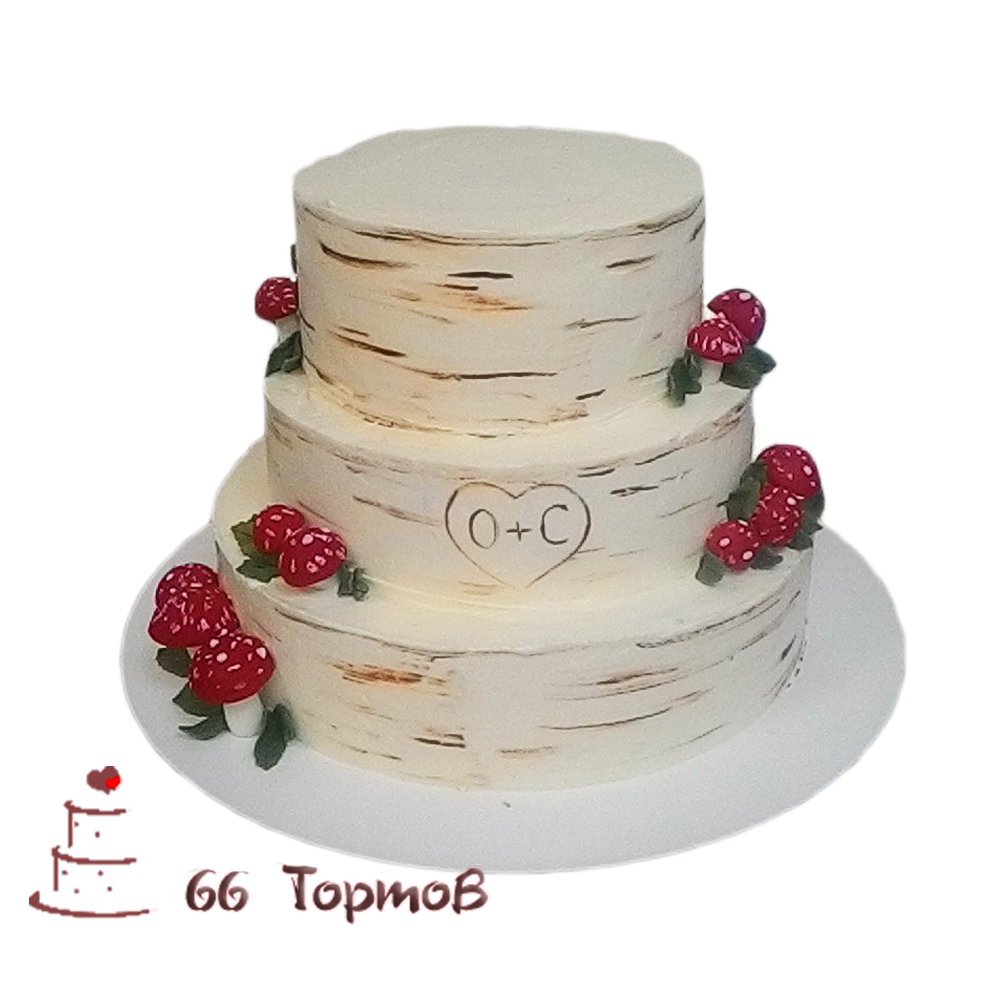Портфолио