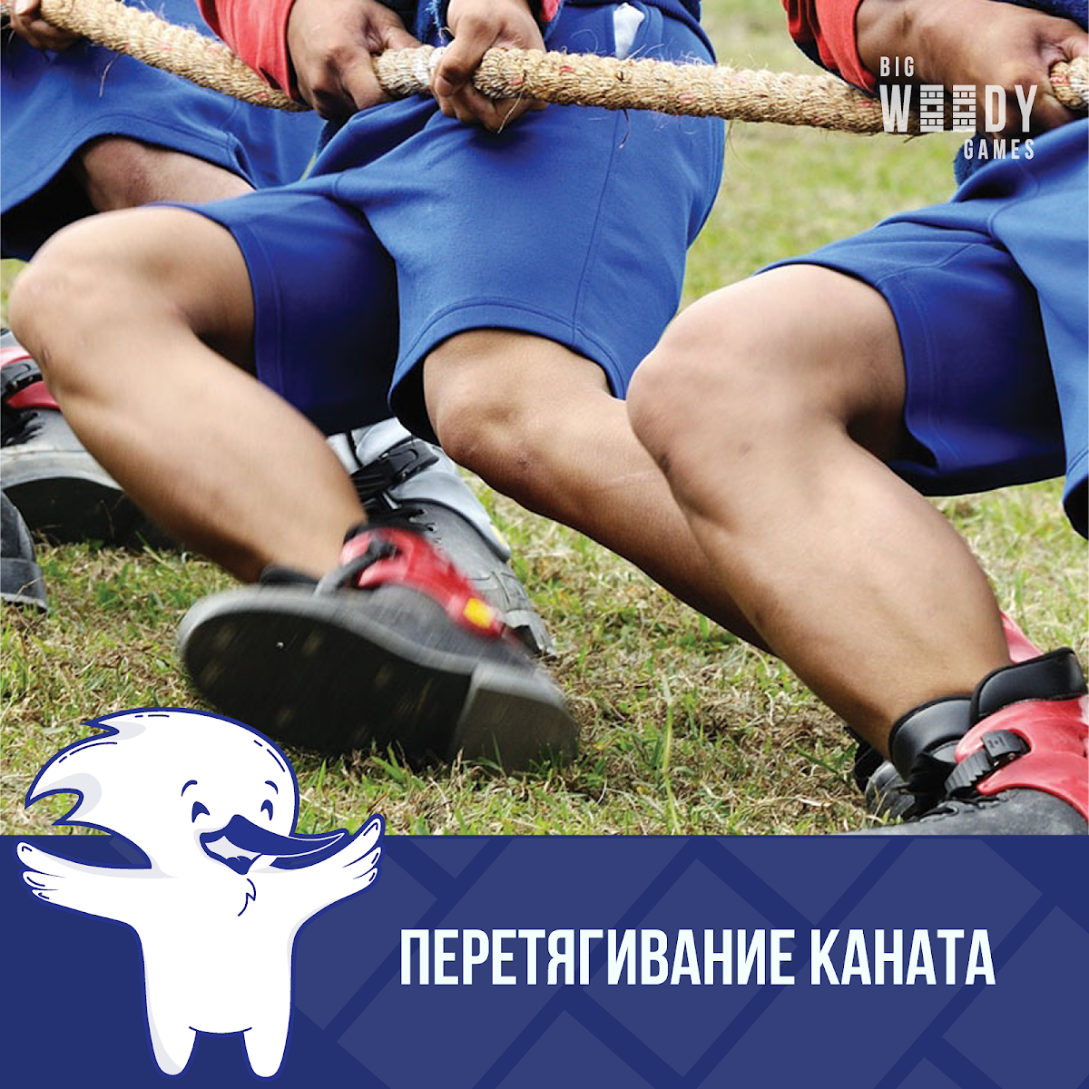 Портфолио