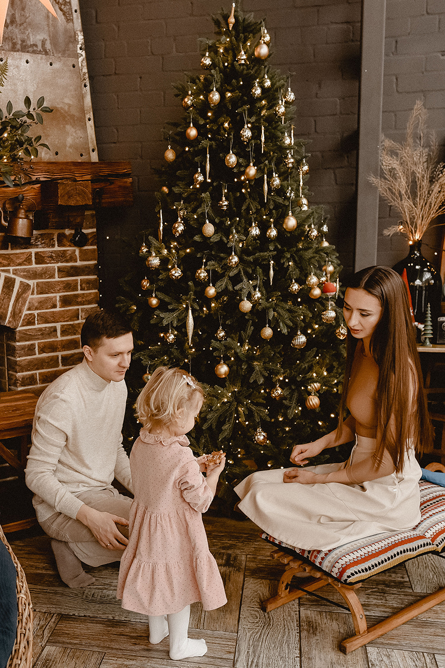 Портфолио: Новогодняя фотосъемка