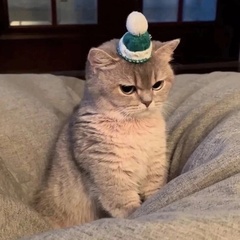 Даниил Ульянов