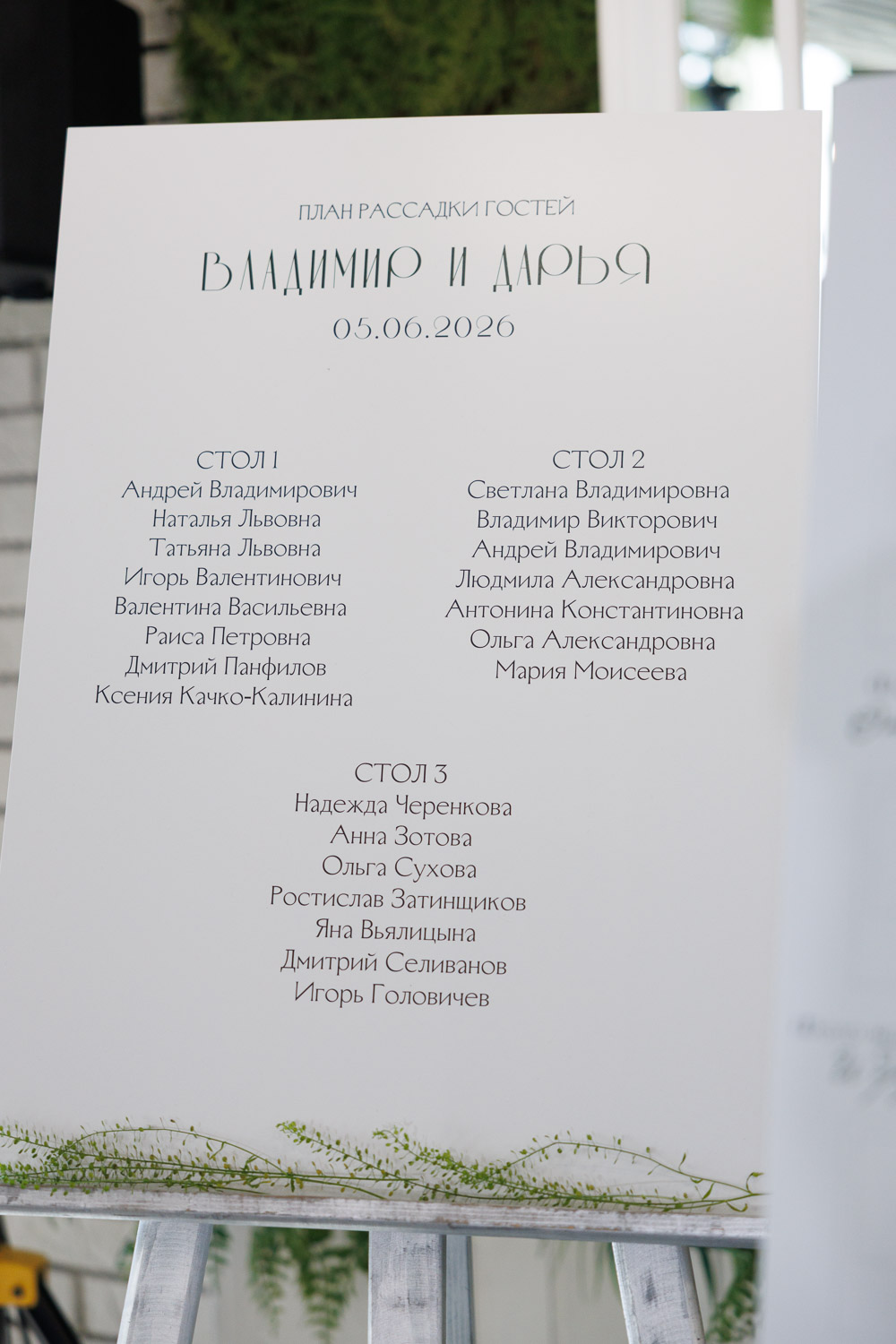 Владимир и Дарья