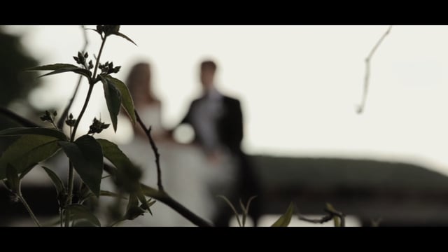 Портфолио: Свадьба