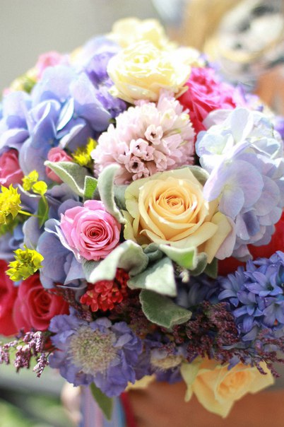 Flowers of Life