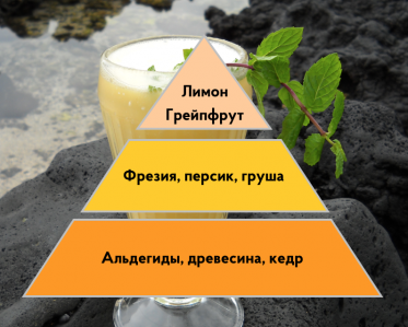 Портфолио