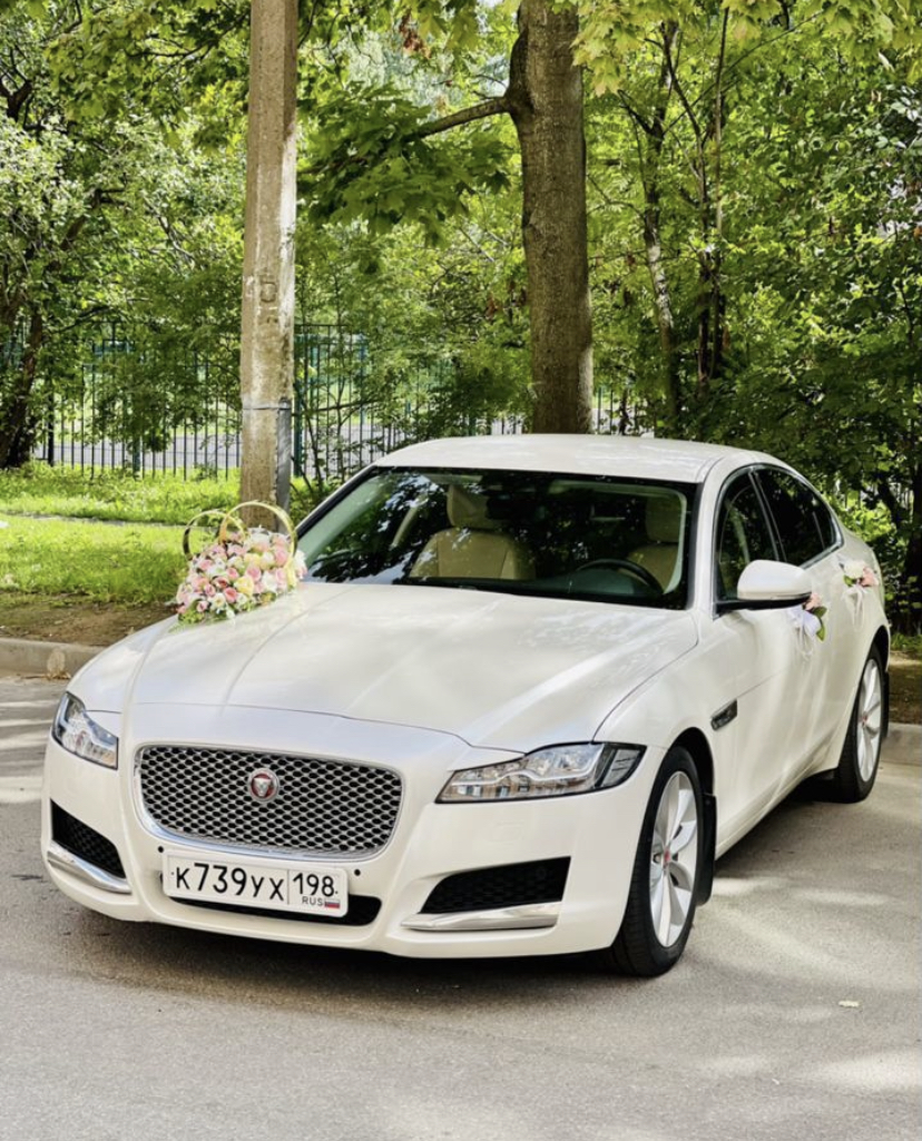 Jaguar XF — кадр 3 из 6