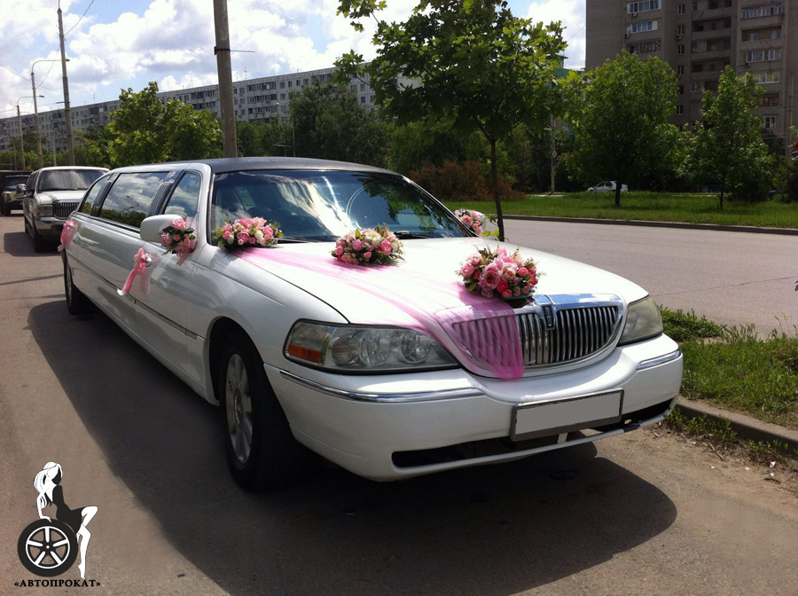 Кадр 10 из 25