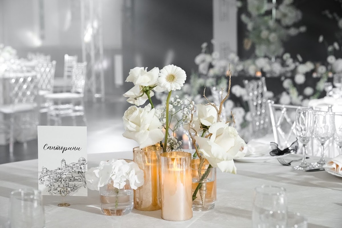 Илья и Алина  / Wedding Day