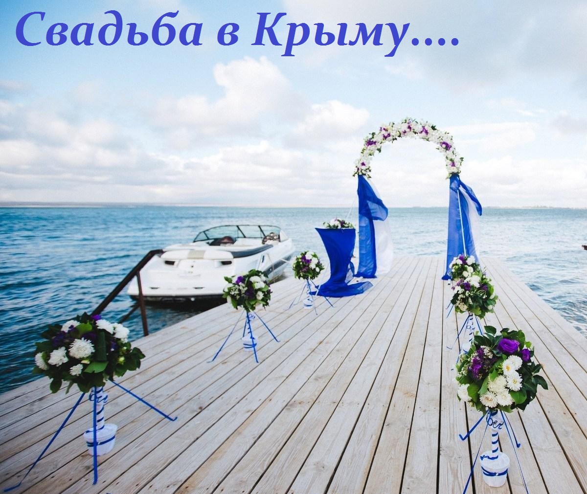 Портфолио: Свадьба