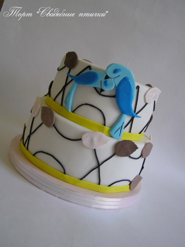 Портфолио