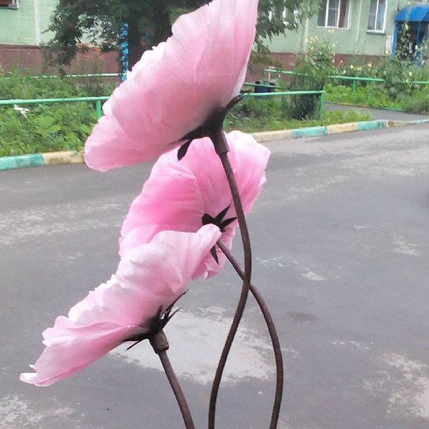 Кадр 69 из 124