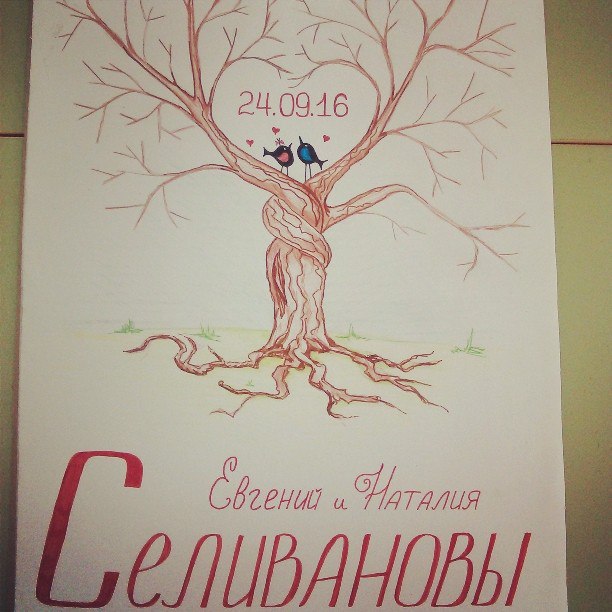 Портфолио