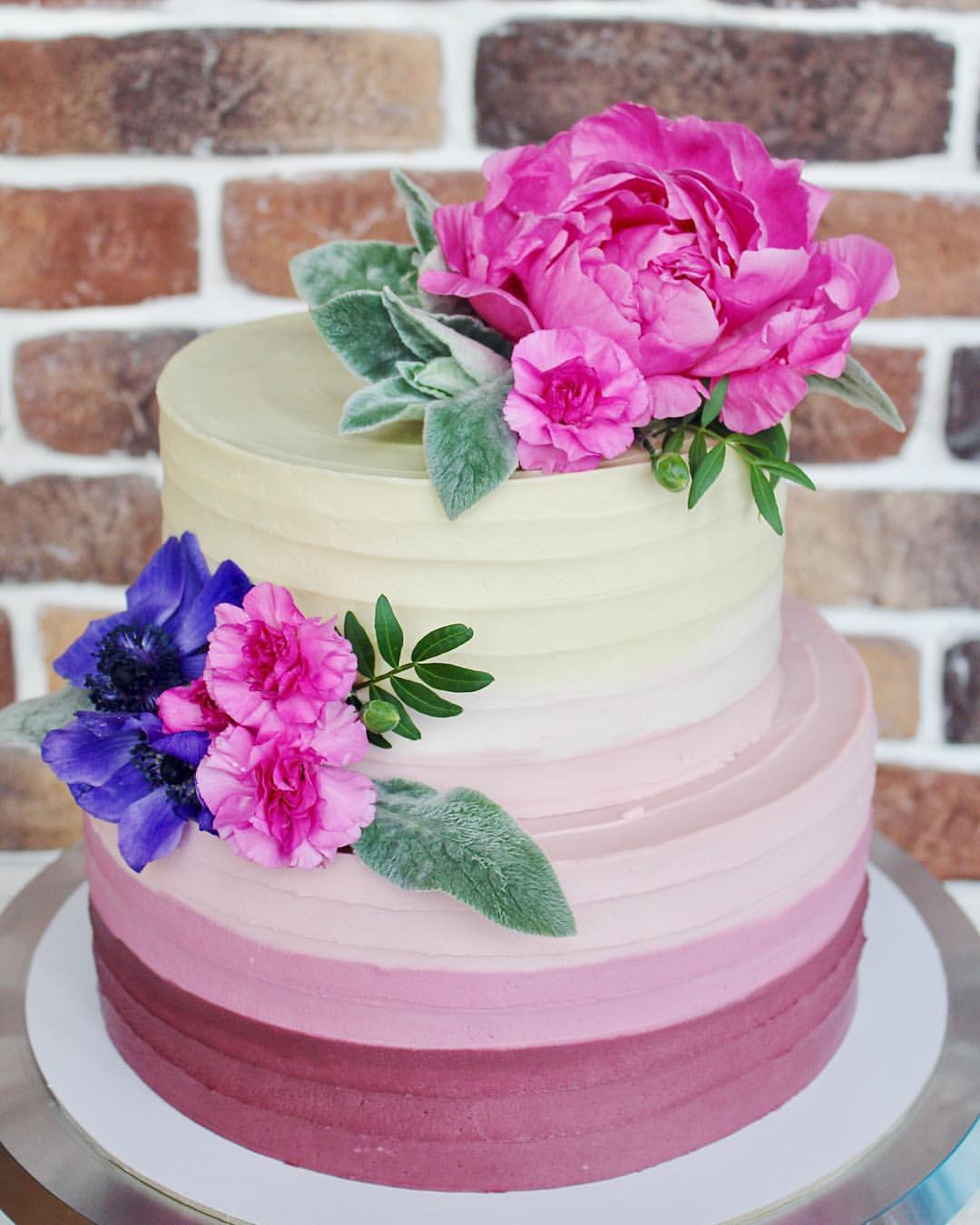 Biscuit Cake — кадр 5 из 10