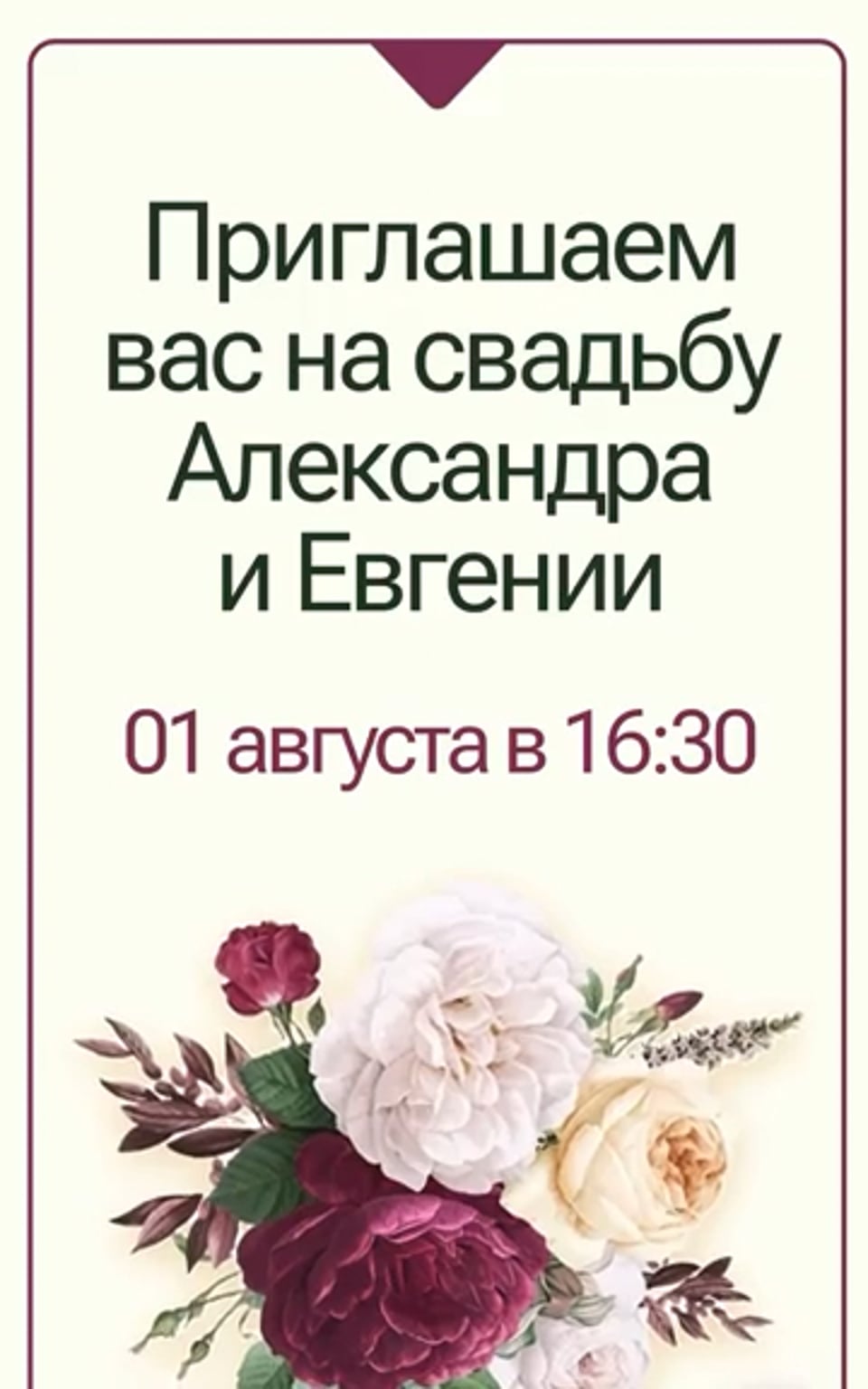 Фотографии