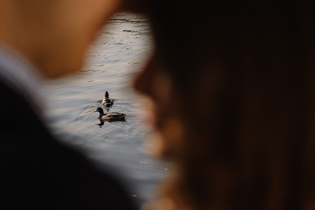 Портфолио: Love story