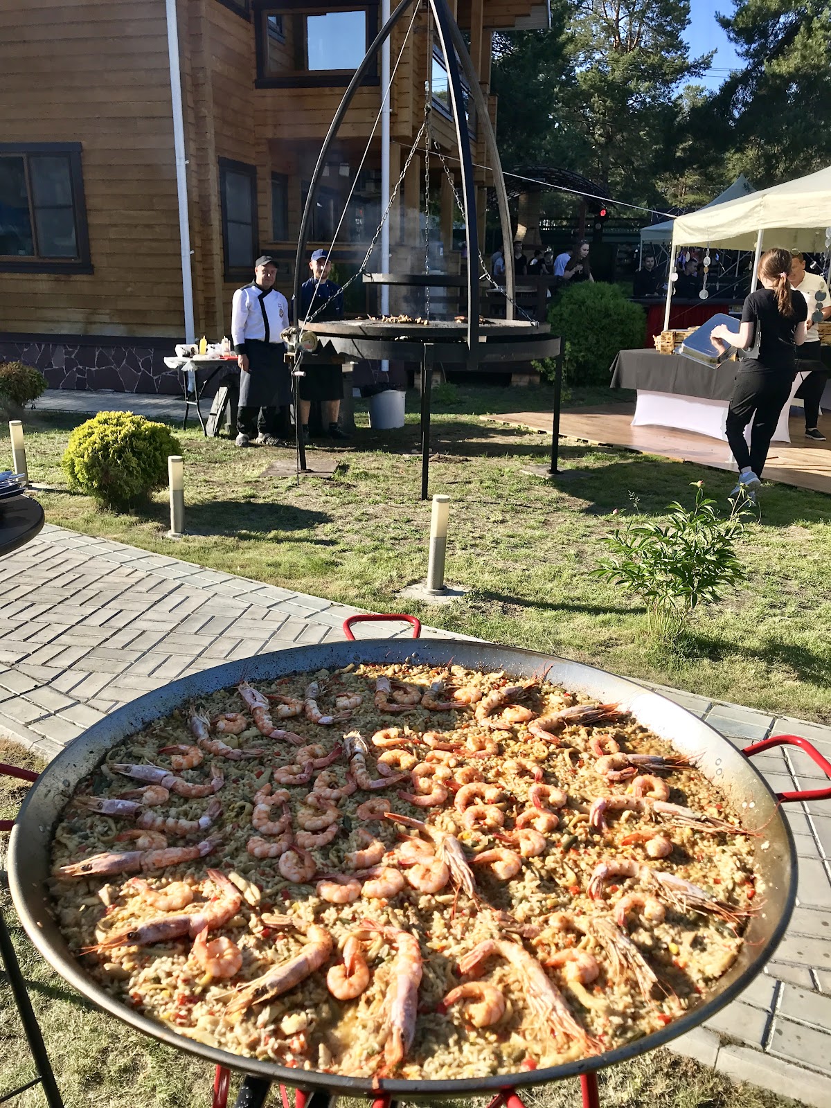 Портфолио