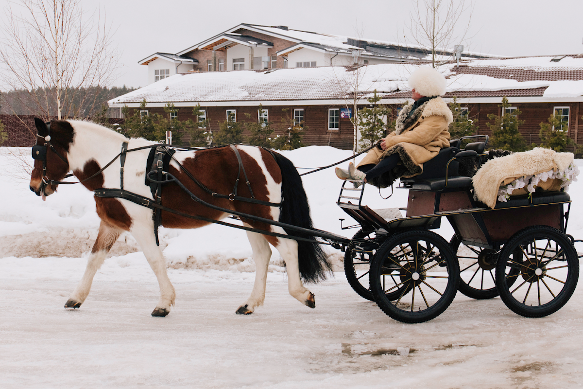 Загородный отель Horseka Resort