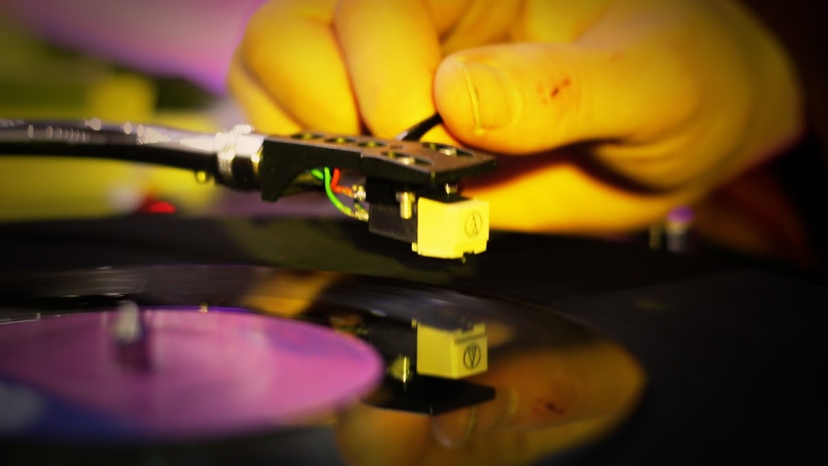 Best Vinyl Show