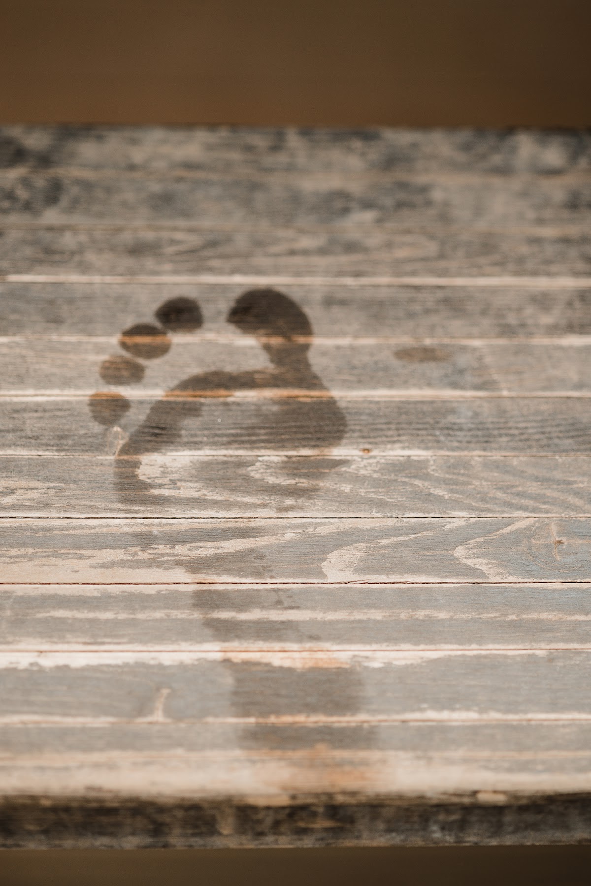 Ксения и Михаил