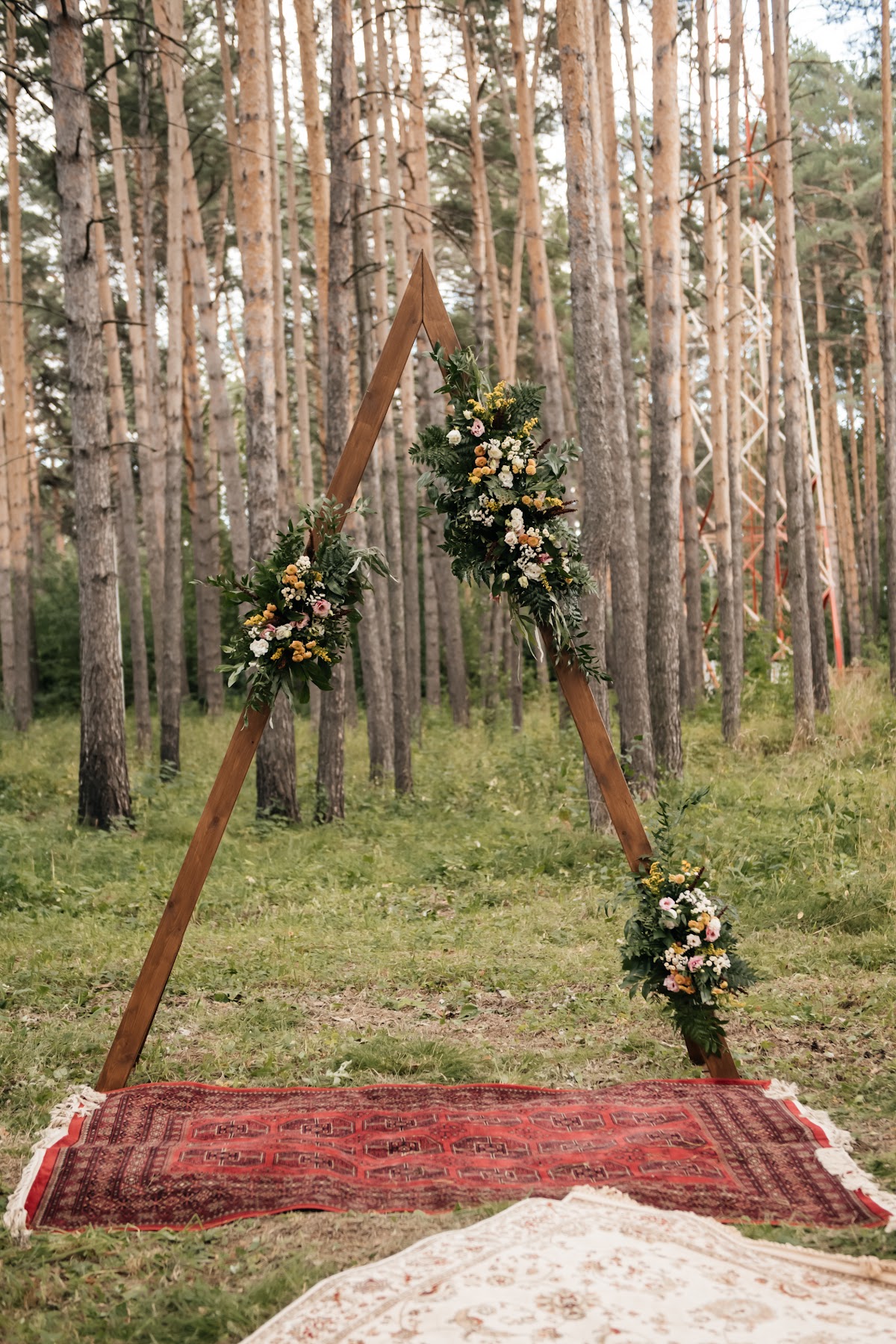 Кадр 54 из 159