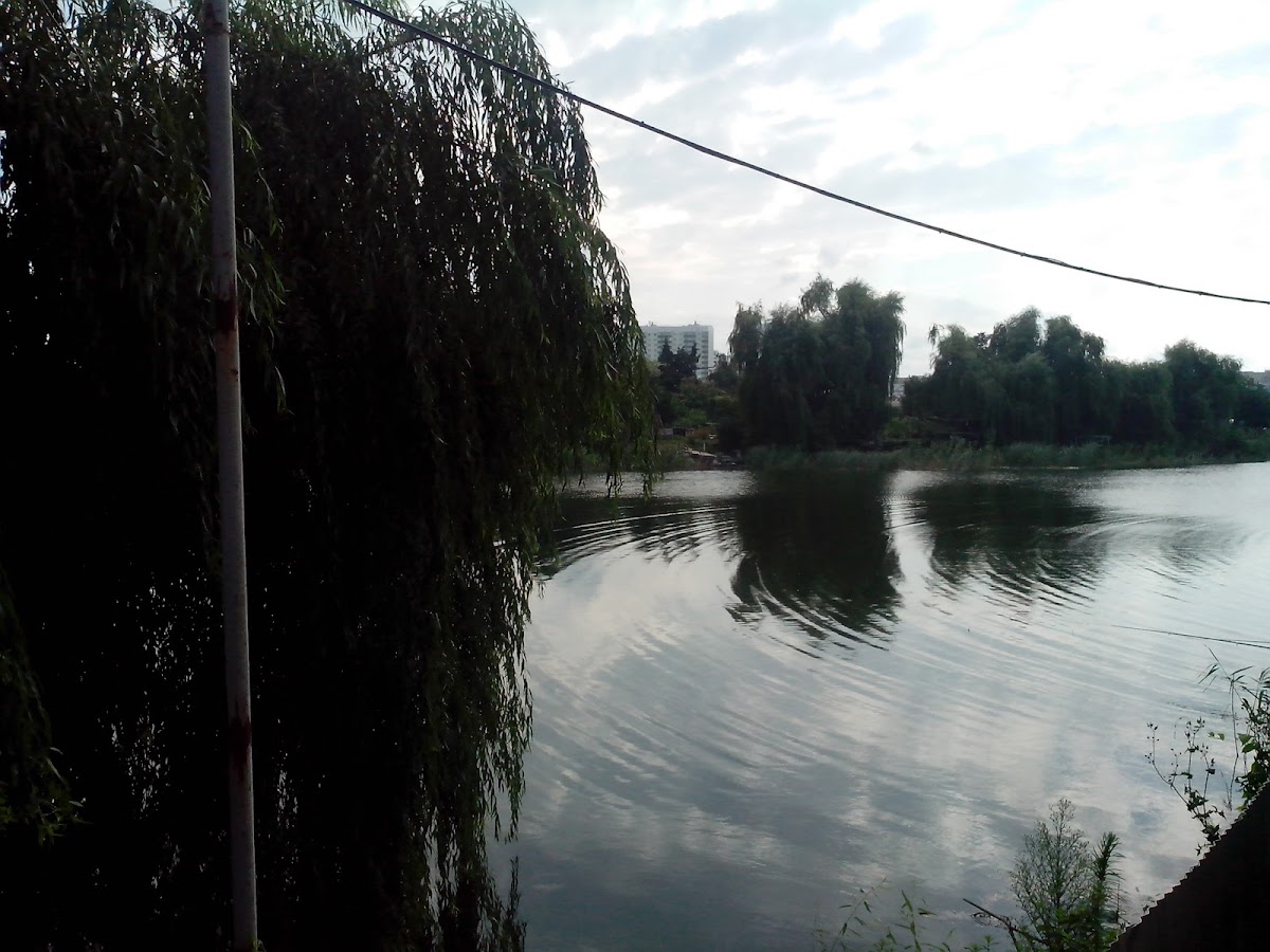 Свадьба Ресторан Любимый