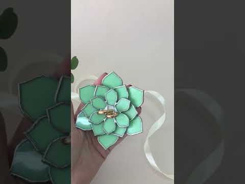 Суккуленты