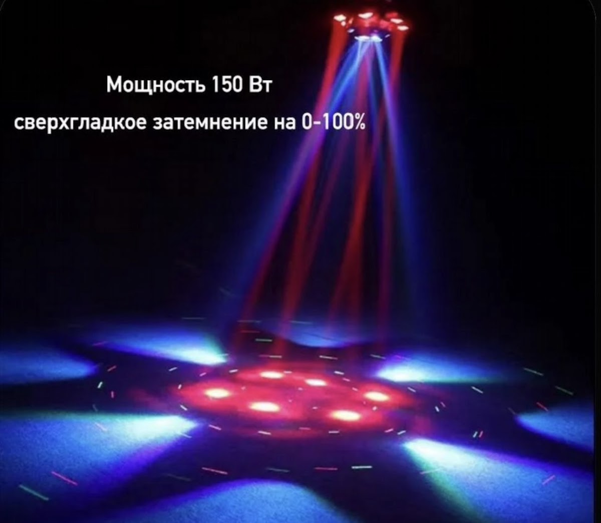 Фотографии
