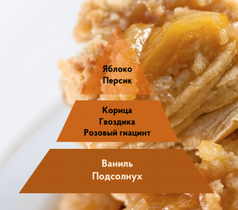 Ароматизация мероприятия