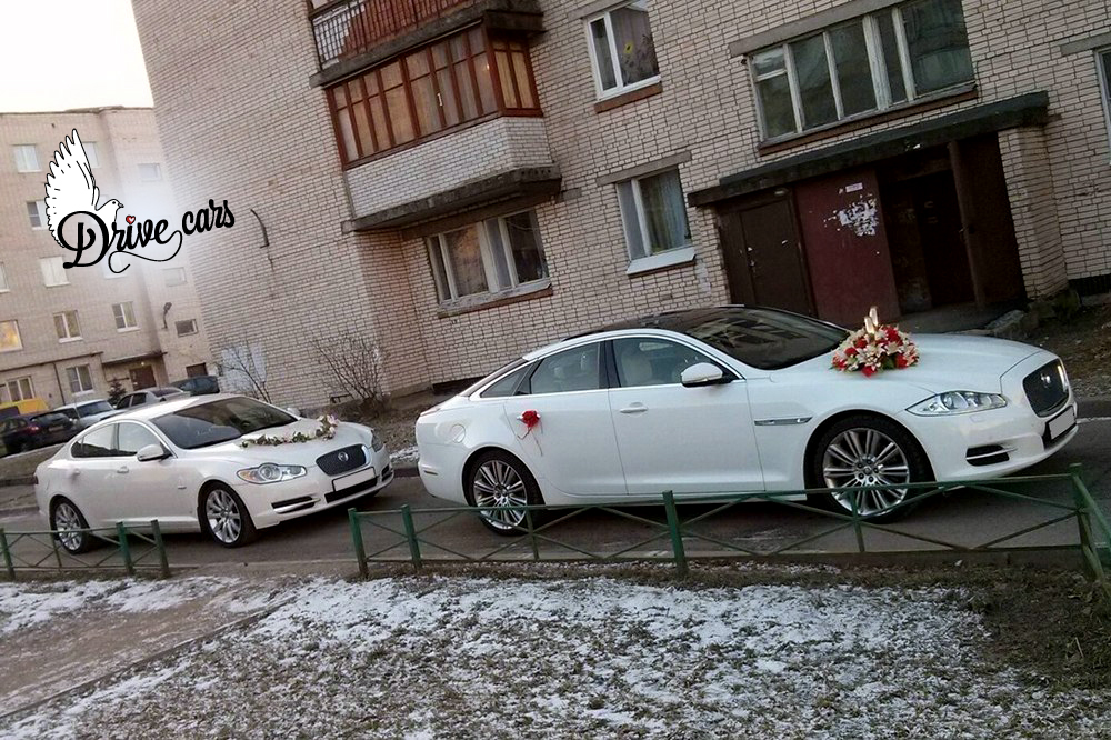Фотографии