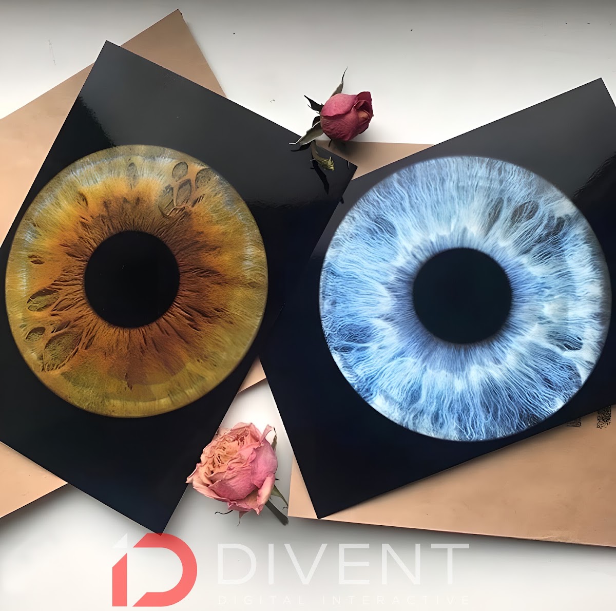 Divent — кадр 2 из 24
