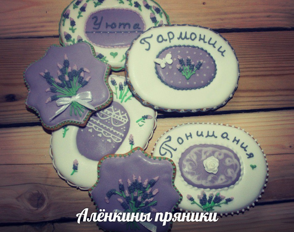 Портфолио