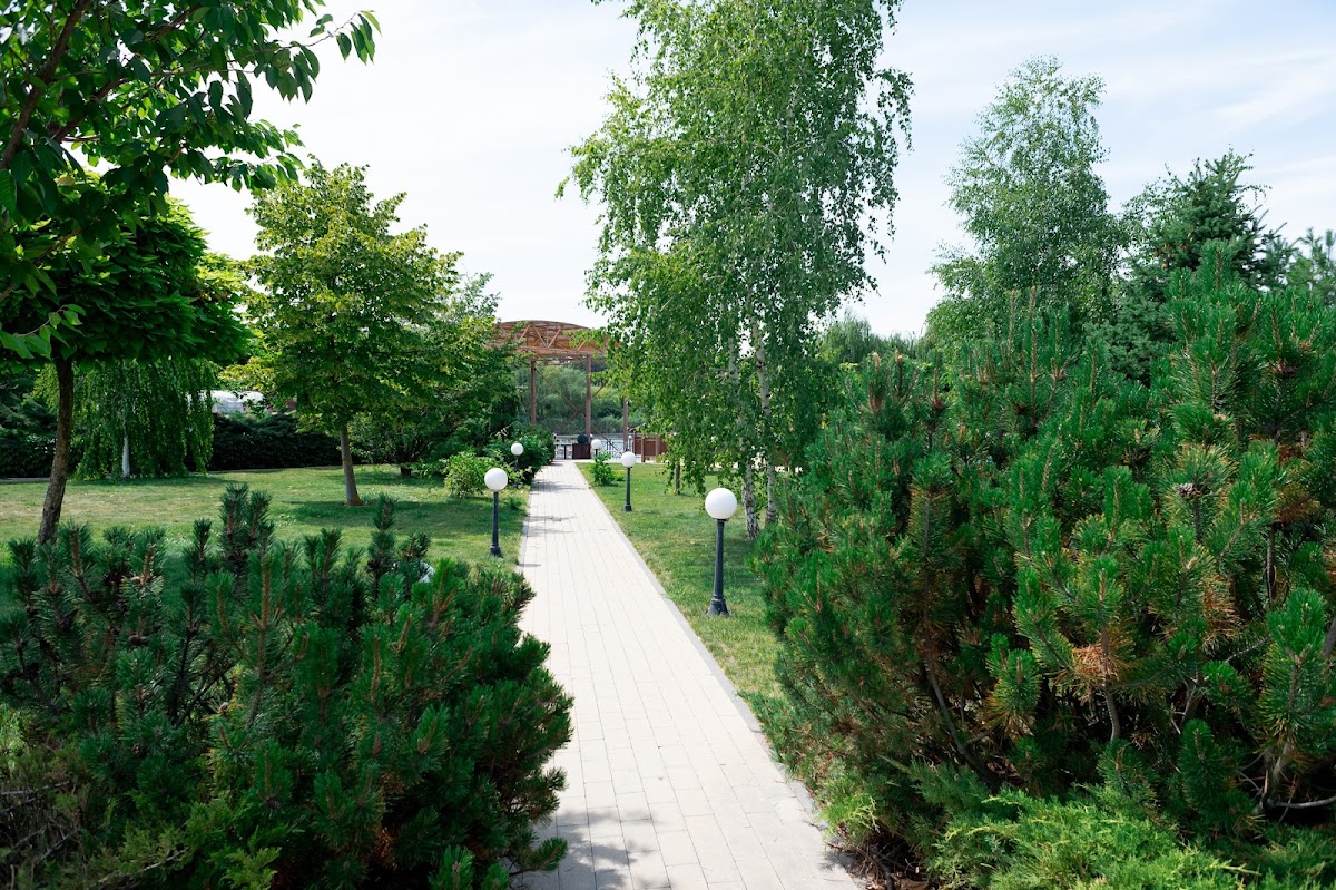 Территория