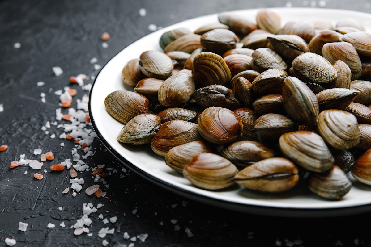 Портфолио: Еда