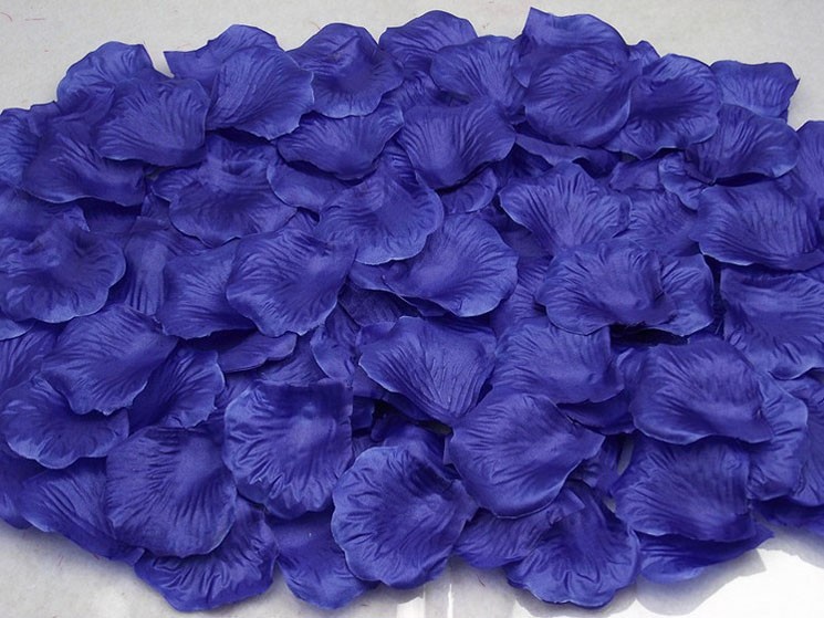 Кадр 31 из 37